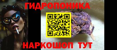 мдпв Тула