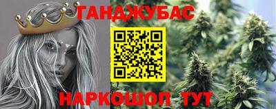 мдпв Тула