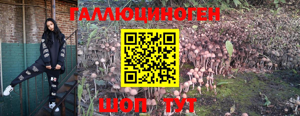 Галлюциногенные грибы Psilocybine cubensis  Вход с VPN  продажа наркотиков  Муравленко 